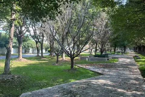 南汇六灶靠近川沙 - 600平办公园区 - 可研发可生产