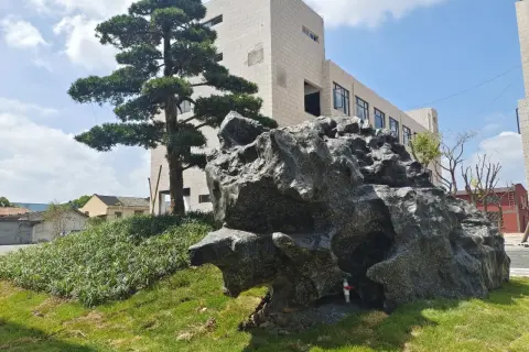龙阳路运动园区 - 氛围集中 - 各类文体办公 - 200平出租