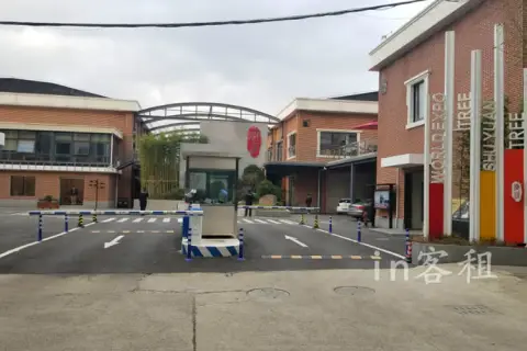 三林世博树源