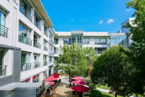 张江微电子港